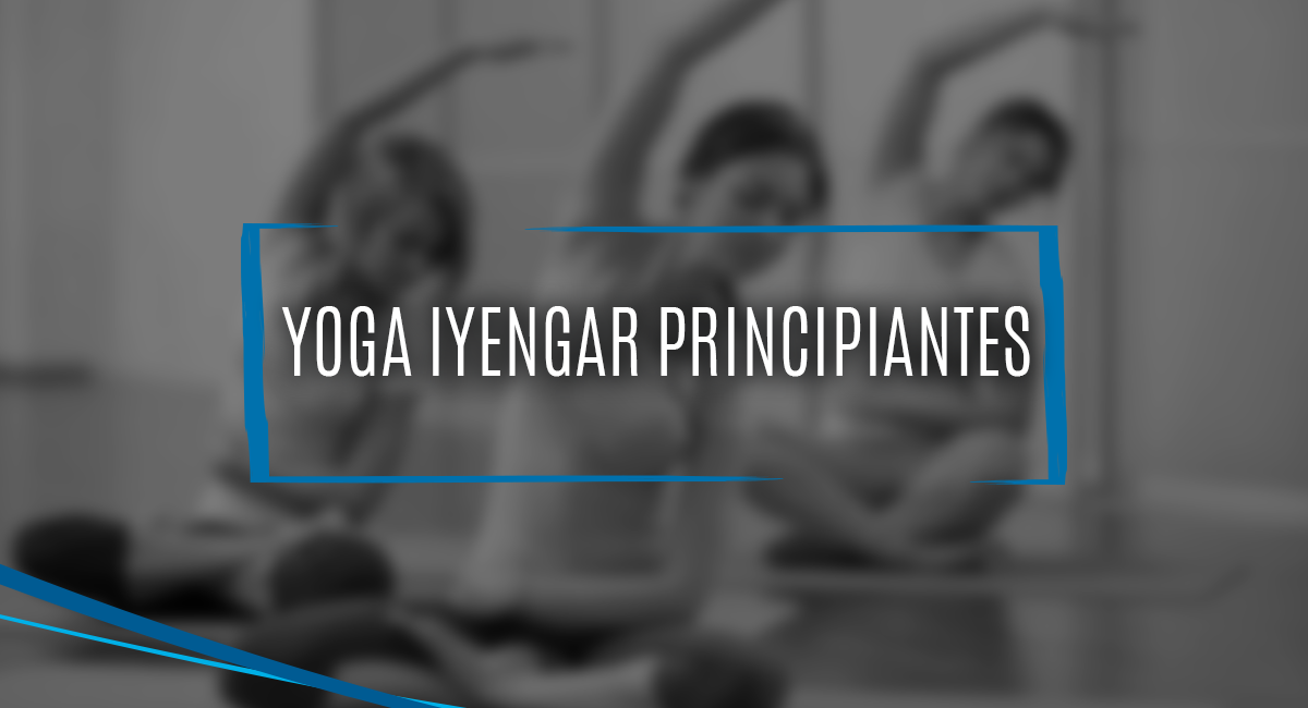 Clases Yoga Iyengar Principiantes Yoga Tlalpan Sur